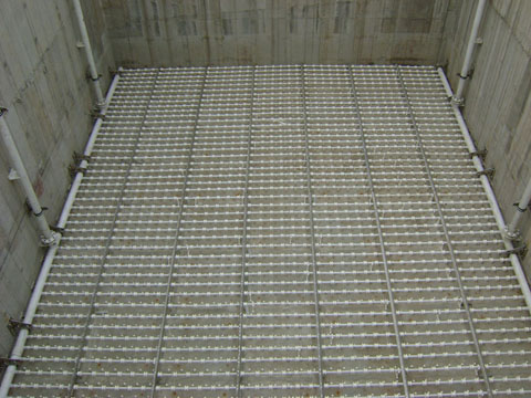 BAF�ؚ�����V��