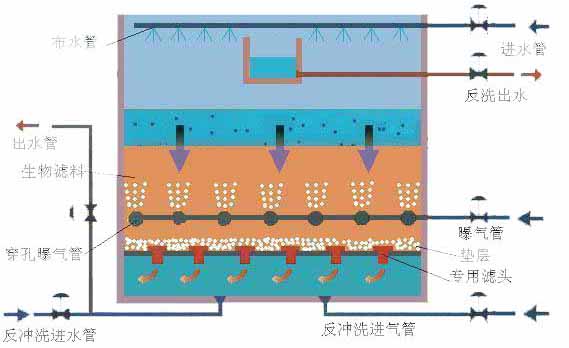 BAF�ؚ�����V��