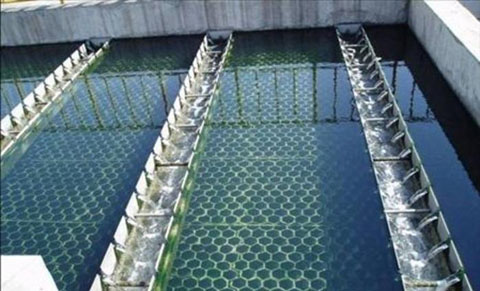 б�ܳ�����